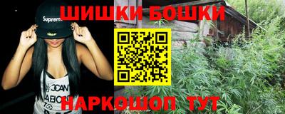 МДПВ Обь
