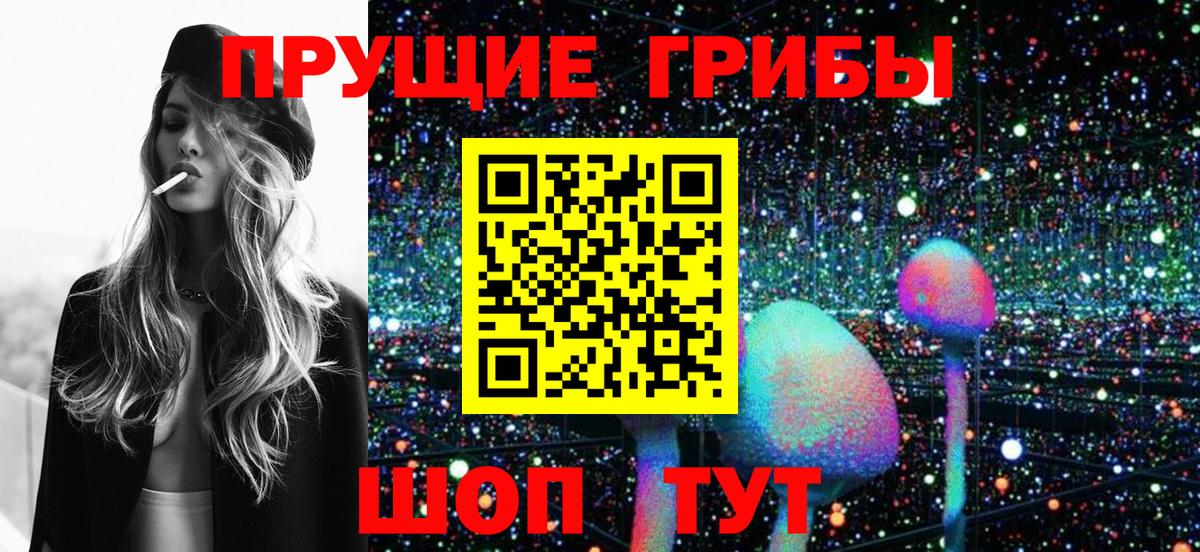Сызрань  Псилоцибиновые грибы прущие грибы  Вход с VPN 