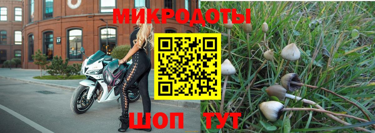 Псилоцибиновые грибы прущие грибы Сызрань